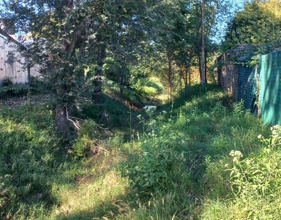 Robaron tres viviendas en barrio Don Juan: Ingresaron rompiendo alambrados y rejas
